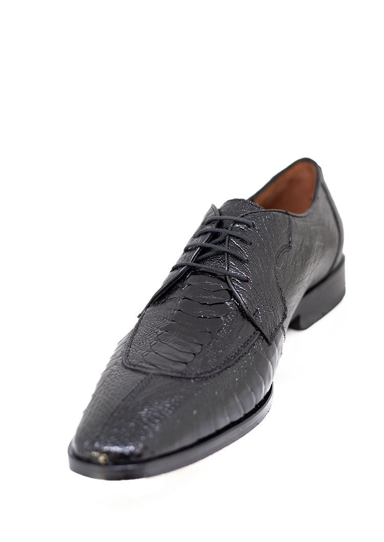 Modelo 80105 Pata Avestruz/Becerro Negro